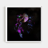 Careful Fear & Dead Devotion III