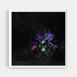 Careful Fear & Dead Devotion I