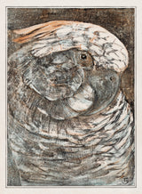Head of a Parrot by Theo van Hoytema