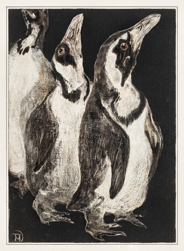 The Penguins by Theo van Hoytema