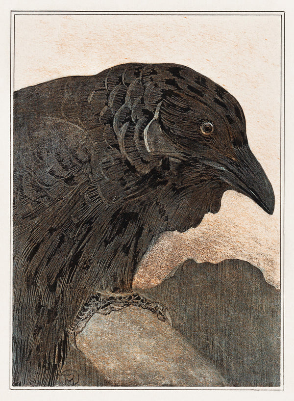 Crow  by Theodorus van Hoytema